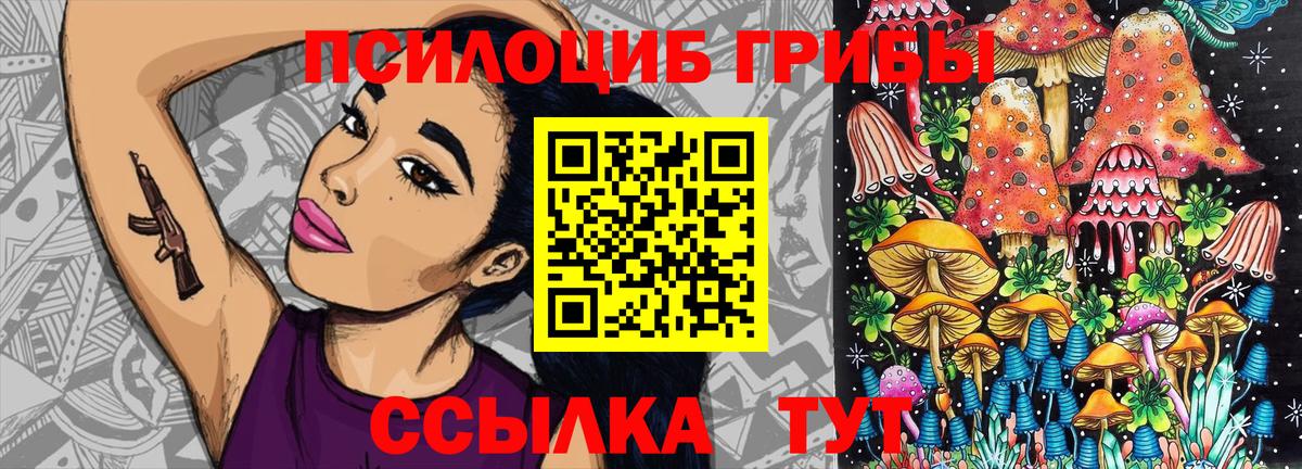 Псилоцибиновые грибы GOLDEN TEACHER Елец