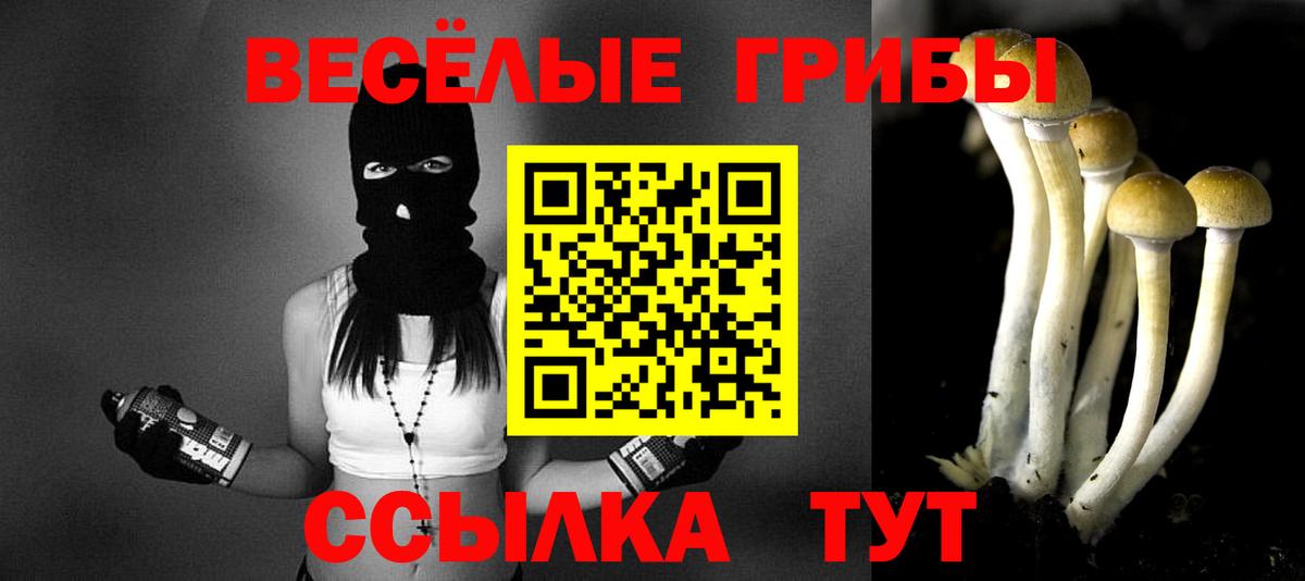 Галлюциногенные грибы прущие грибы  Вход с VPN  Елец 
