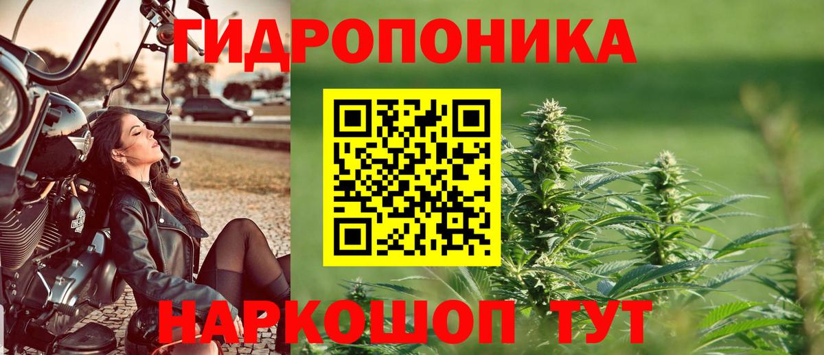 Елец  Каннабис AK-47  Каннабис THC 21%  Вход с VPN  Каннабис тримм  Канабис семена 